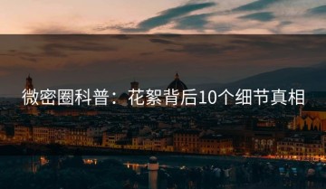 微密圈科普：花絮背后10个细节真相