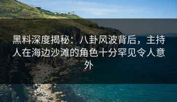 黑料深度揭秘：八卦风波背后，主持人在海边沙滩的角色十分罕见令人意外