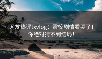 网友热评txvlog：震惊剧情看哭了！你绝对猜不到结局！