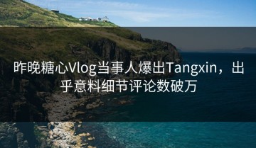 昨晚糖心Vlog当事人爆出Tangxin，出乎意料细节评论数破万