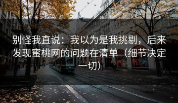 别怪我直说：我以为是我挑剔，后来发现蜜桃网的问题在清单（细节决定一切）