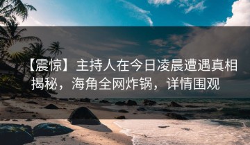 【震惊】主持人在今日凌晨遭遇真相揭秘，海角全网炸锅，详情围观