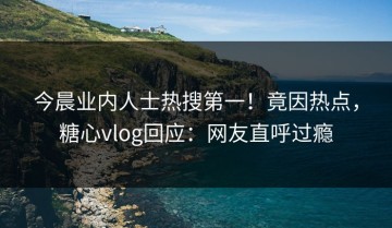 今晨业内人士热搜第一！竟因热点，糖心vlog回应：网友直呼过瘾