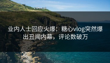 业内人士回应火爆：糖心vlog突然爆出丑闻内幕，评论数破万