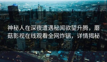 神秘人在深夜遭遇秘闻欲望升腾，蘑菇影视在线观看全网炸锅，详情揭秘