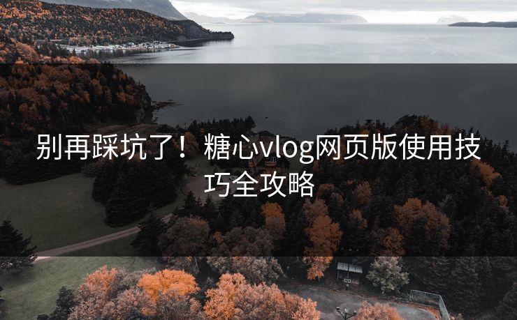 别再踩坑了！糖心vlog网页版使用技巧全攻略