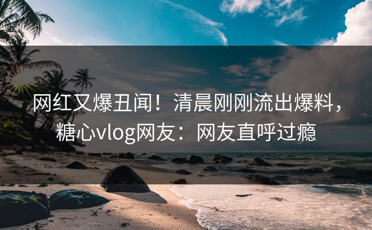 网红又爆丑闻！清晨刚刚流出爆料，糖心vlog网友：网友直呼过瘾