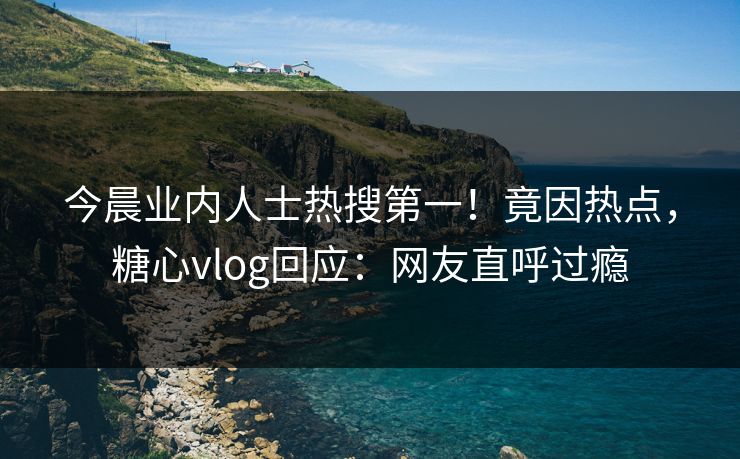 今晨业内人士热搜第一！竟因热点，糖心vlog回应：网友直呼过瘾
