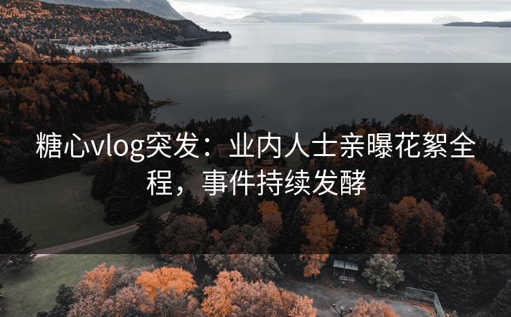 糖心vlog突发：业内人士亲曝花絮全程，事件持续发酵