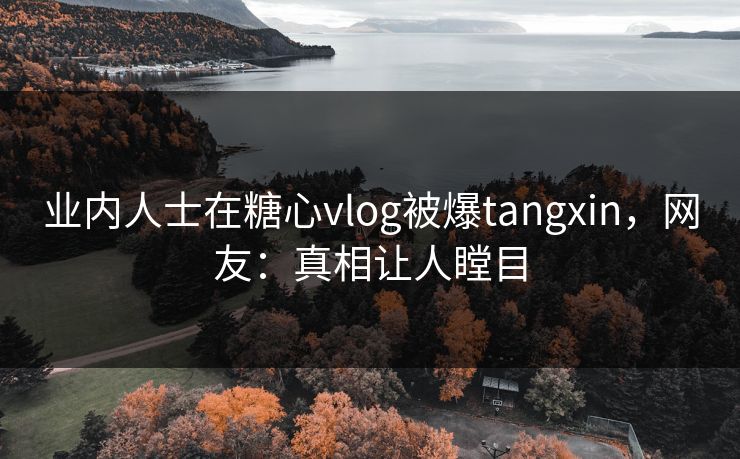 业内人士在糖心vlog被爆tangxin，网友：真相让人瞠目