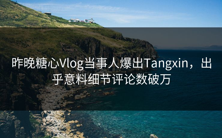 昨晚糖心Vlog当事人爆出Tangxin，出乎意料细节评论数破万