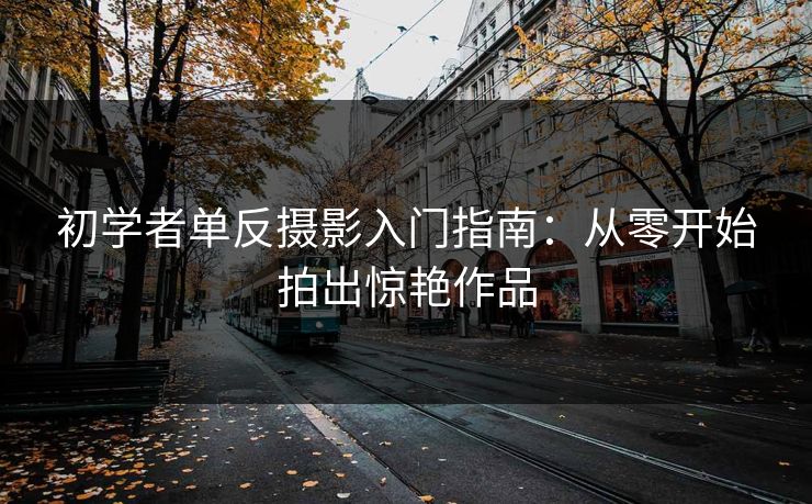 初学者单反摄影入门指南:从零开始拍出惊艳作品 初学者单反摄影入门指南:从零开始拍出惊艳作品